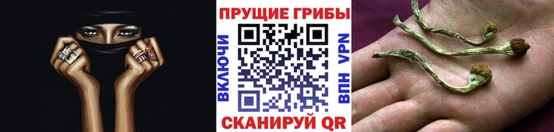 продажа наркотиков OMG ССЫЛКА Псилоцибиновые грибы мицелий Плавск